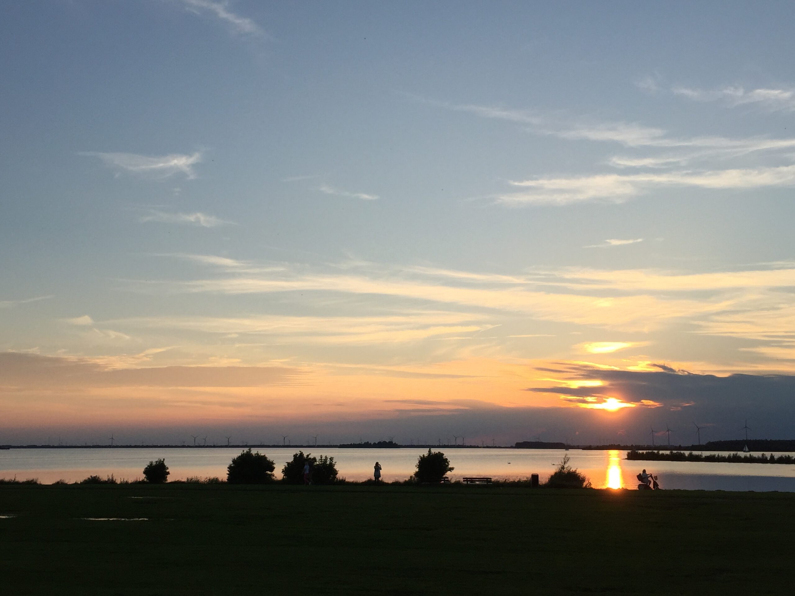 Walks & Bites Harderwijk